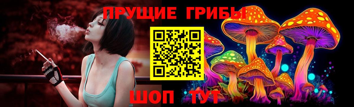 Алушта  Псилоцибиновые грибы мухоморы  Вход с VPN  Псилоцибиновые грибы Psilocybe 